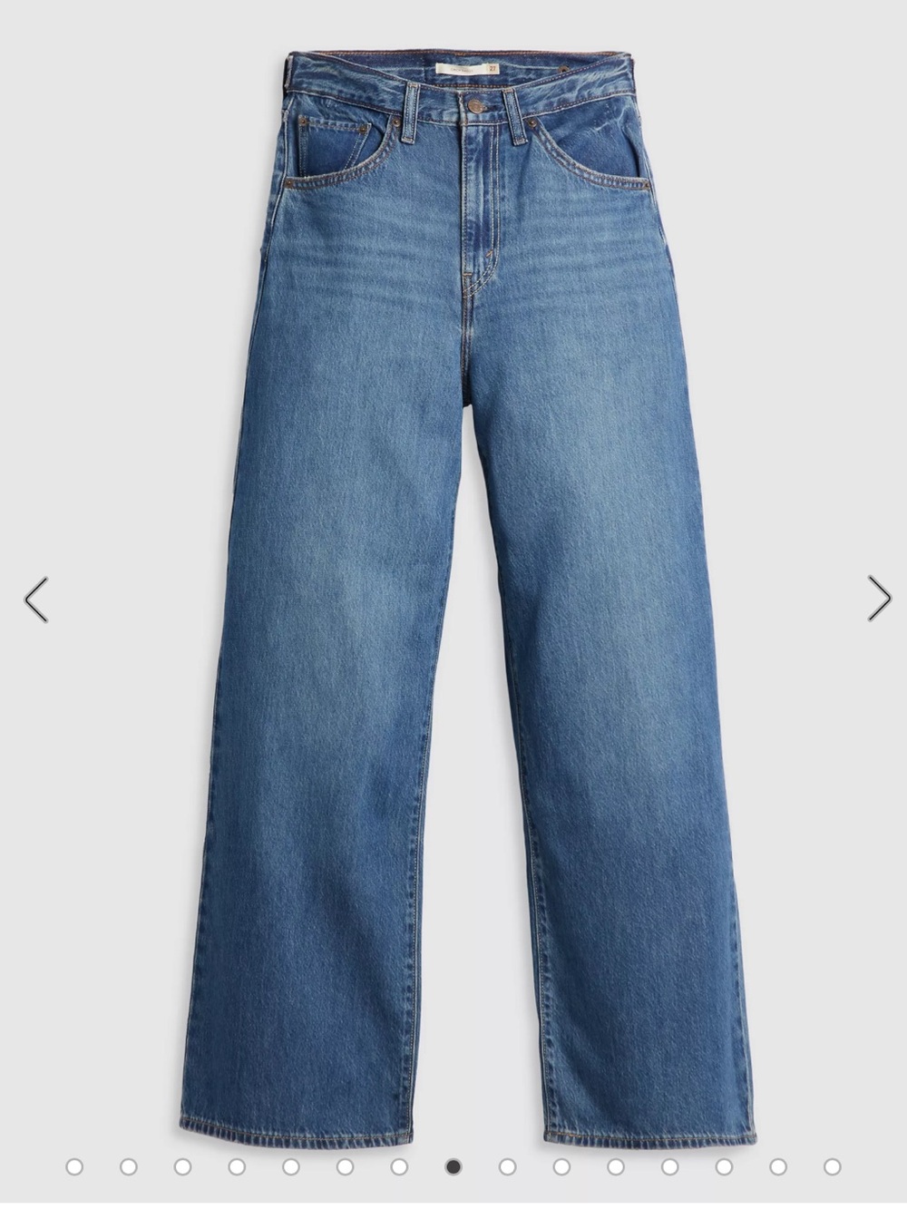 NWT Levi’s CINCH BAGGY LIGHTWEIGHT JEANS 28x31
